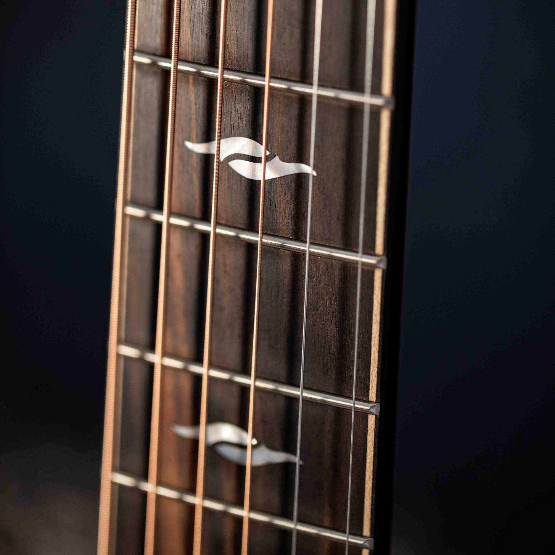 PETRS VIOLIN GUITAR SHOP | FRET WORK